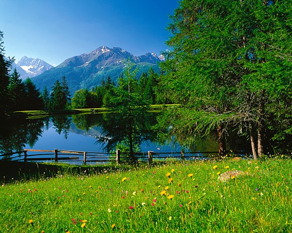 Austria, Europe, Tyrol, Kaunertal, mountain Kauner, pond, water, lake, mountain lake, Schnadig pond, meadow, flower meadow, fence, wood, forest, spruces, mountains, oetztal, Alps, Glockturmkamm, Kauner, ridge, nature, rest, silence, calmness, vacation, mou