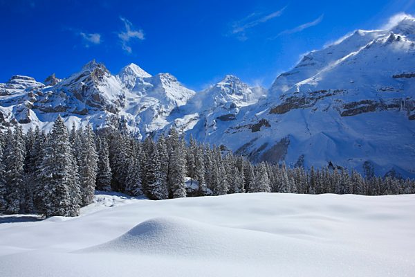 Alps, Alpine panorama, view, mountain, mountains, mountain massif, mountain panorama, Bern, Bernese Alps, Bernese Oberland, Blüemlisalp Rothorn, Blüemlisalphorn, trees, ice, cliff, spruce, spruces, mountains, summits, peaks, glaciers, Kandersteg, cold, u