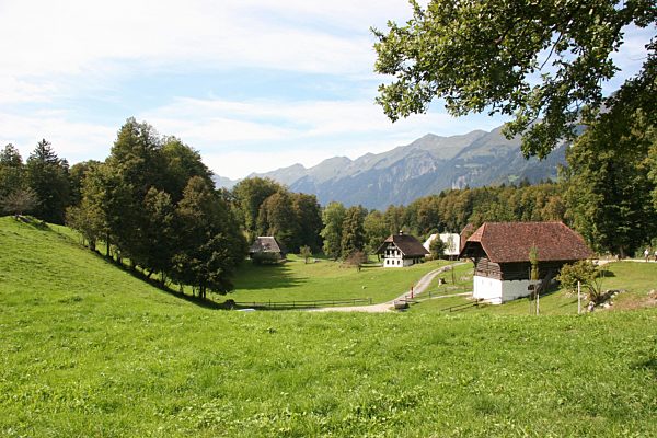 Switzerland, Brienz, Bernese Oberland, open-air museum, history, museum, historical, Ballenberg, scenery, house, home, meadow