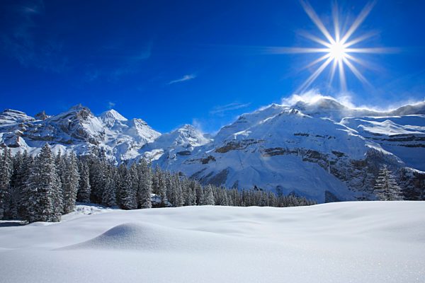 Alps, Alpine panorama, view, mountain, mountains, mountain massif, mountain panorama, Bern, Bernese Alps, Bernese Oberland, Blüemlisalp Rothorn, Blüemlisalphorn, trees, ice, cliff, spruce, spruces, mountains, back light, summit, peak, glacier, Kandersteg