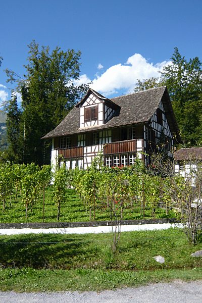 Switzerland, Brienz, Bernese Oberland, open-air museum, history, museum, historical, Ballenberg, wine, farmhouse, bolt house, Zurich wine land, garden, half-timbered house