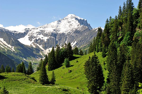 Valley of Weisstannen, Foostock, mountains, Swiss Alps, snow, Canton St. Gall, Switzerland, Europe, Europe, firs,