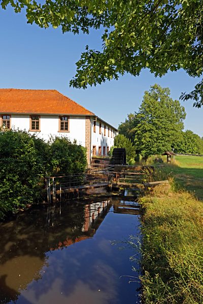 Europe, Germany, Europe, Rhineland-Palatinate, Hassloch, Aumühle, water mill, Aumühle, mill wheel, Speyer brook, trees, buildings, gastronomy, mills, rivers, flows, historical, plants, restaurant, place of interest, technology, technics, tourism, water,