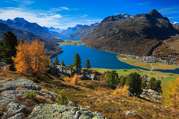 Alps, Alpine, panorama, mountain, mountains, massif, mountain lake, mountains, summit, peak, Graubünden, Grisons, autumn, colors, wood, larch, larches, Oberengadin, Engadine, panorama, Piz da la Margna, plateau, Switzerland, Europe, Swiss, lake, lakes, pl
