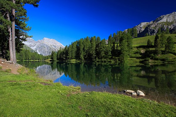 Albula, Albula Pass, Switzerland, Europe, Alps, mountain, mountains, mountain lake, Bergün, Graubünden, Grisons, sky, larches, Palpuogna, Palpuognasee, Piz Ela, reflection, lake, summer, reflection, wood, forest, water, alpine, blue sky, Swiss, cloudless