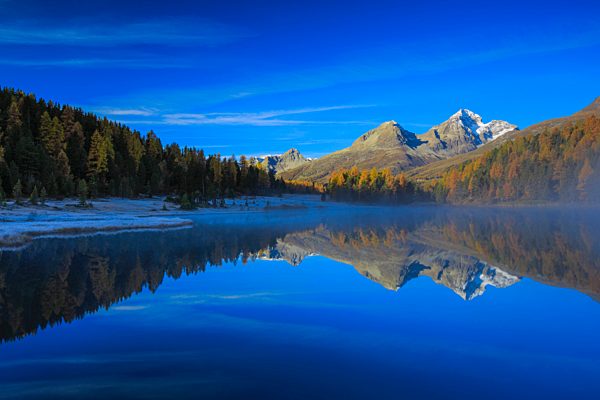 Alps, Alpine, panorama, mountain, mountains, massif, mountain lake, mountains, summit, peak, Graubünden, Grisons, autumn, colors, wood, Lej da Staz, larch, larches, Oberengadin, Engadine, panorama, Piz Albana, Piz Julier, reflection, Switzerland, Europe,