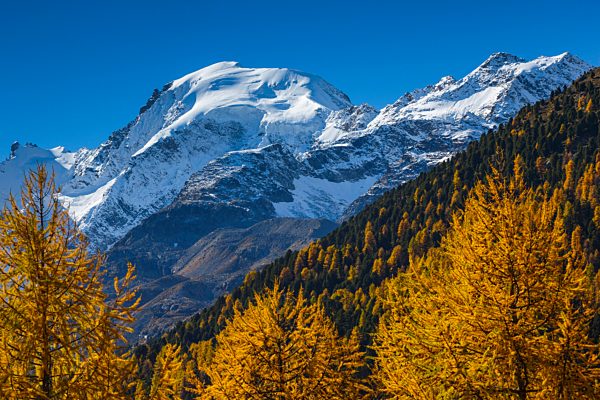 Alps, Alpine, panorama, mountain, mountains, massif, Biancograt, ice, mountains, summit, peak, glacier, Graubünden, Grisons, autumn, colors, wood, cold, larch, larches, Oberengadin, Engadine, panorama, Piz Morteratsch, snow, Switzerland, Europe, Swiss, cl