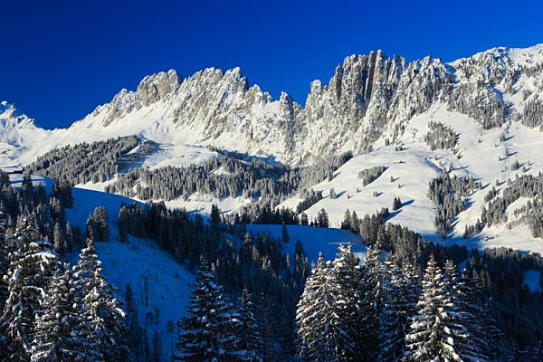Alps, view, tree, mountain, mountain panorama, mountains, massif, canton Bern, trees, Dolomites of Switzerland, rocks, cliffs, spruce, spruces, Freiburg, Fribourg pre alps, Gastlosen, mountains, canton Bern, canton Freiburg, Gruyère area, sky, Jaun, Jaun