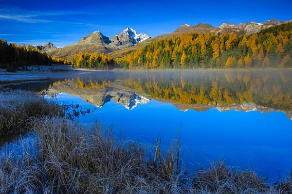 Alps, Alpine, panorama, mountain, mountains, massif, mountain lake, mountains, summit, peak, Graubünden, Grisons, autumn, colors, wood, Lej da Staz, larch, larches, Oberengadin, Engadine, panorama, Piz Albana, Piz Julier, reflection, Switzerland, Europe,