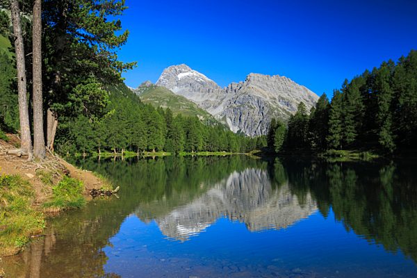 Albula, Albula Pass, Switzerland, Europe, Alps, mountain, mountains, mountain lake, Bergün, Graubünden, Grisons, sky, larches, Palpuogna, Palpuognasee, Piz Ela, reflection, lake, summer, reflection, wood, forest, water, alpine, blue sky, Swiss, cloudless