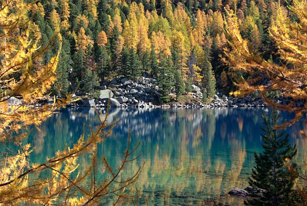 Switzerland, Europe, Graubünden, Grisons, Engadin, alps, Valle di Campo, mountain, mountain lake, stone, larch, autumn, reflection, Indian Summer