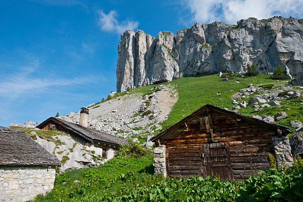 Leysin, mountain, mountains, chalet, Vaud, VD, Alpes vaudoises, Vaud Alps, Alps, Switzerland, summer