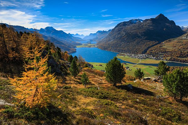 Alps, Alpine, panorama, mountain, mountains, massif, mountain lake, mountains, summit, peak, Graubünden, Grisons, autumn, colors, wood, larch, larches, Oberengadin, Engadine, panorama, Piz da la Margna, plateau, Switzerland, Europe, Swiss, lake, lakes, pl