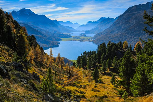Alps, Alpine, panorama, mountain, mountains, massif, mountain lake, mountains, summit, peak, Graubünden, Grisons, autumn, colors, wood, larch, larches, Oberengadin, Engadine, panorama, Piz da la Margna, plateau, Switzerland, Europe, Swiss, lake, lakes, pl