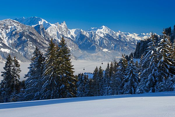 Alps, view, tree, mountain, mountain panorama, mountains, massif, trees, Falknis, rock, cliff, spruce, spruces, Flumserberge, Flums mountain, mountains, Glegghorn, Heidiland, sky, panorama, snow, Switzerland, Europe, Swiss mountains, Swiss Alps, canton St.