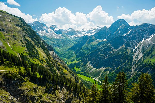Allgäu, Allgäu Alps, Allgäu grass mountain, Alps, destination...