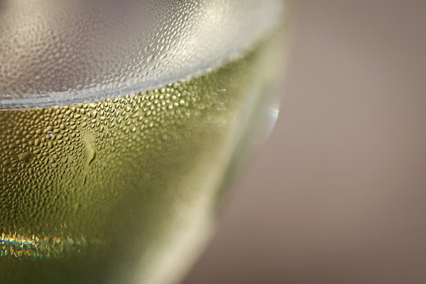 Weinlese in Franken eröffnet