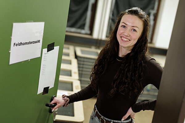 Feldhamster-Nachzucht