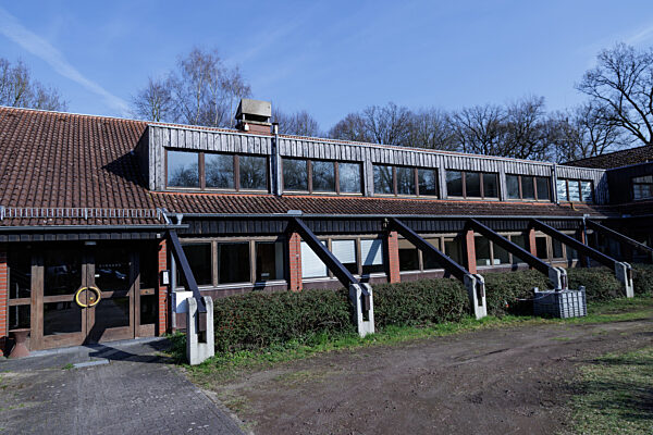 Feldhamster-Nachzucht