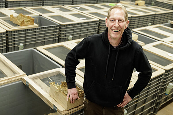 Feldhamster-Nachzucht