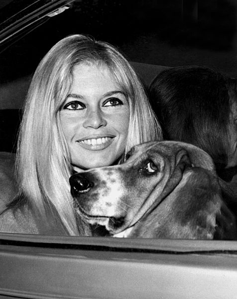 Brigitte Bardot