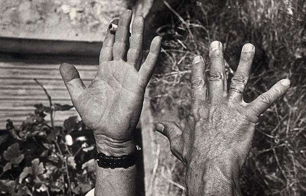 Photo: Die Hände von Pablo Picasso (The famous hands of Pablo Picasso)