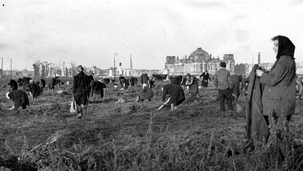 Digging for potatoes