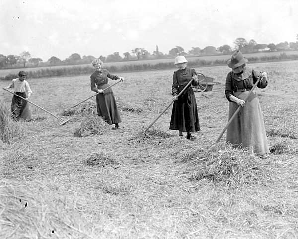Women  Assist a Norfolk farmer