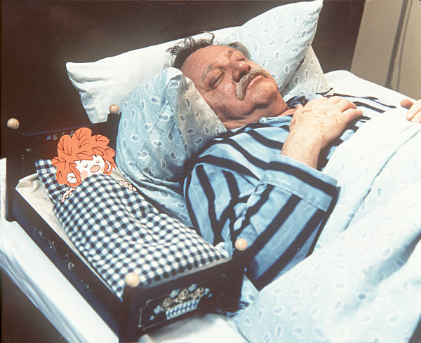 MEISTER EDER UND SEIN PUMUCKL