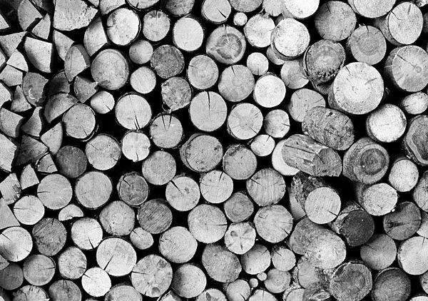 Achtziger Jahre, Abholzung, Holzstapel, Baumstaemme, Holzbloecke, Brennholz