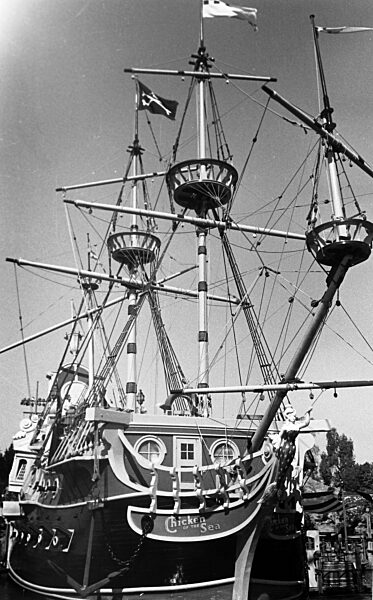 Zu Besuch in Disneyland