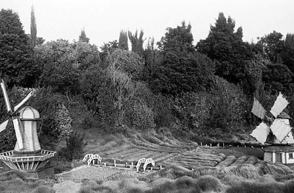 Zu Besuch in Disneyland