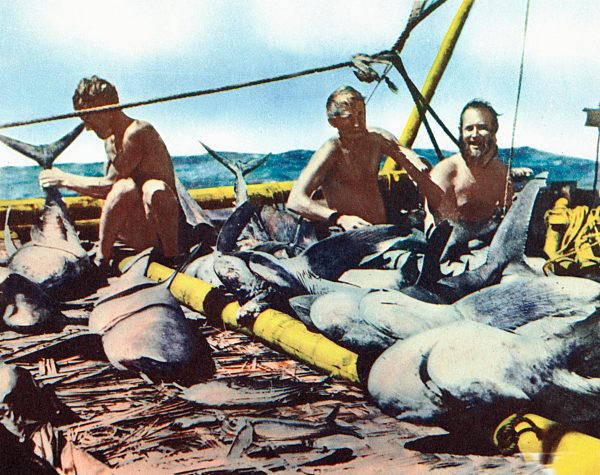 Kon-Tiki