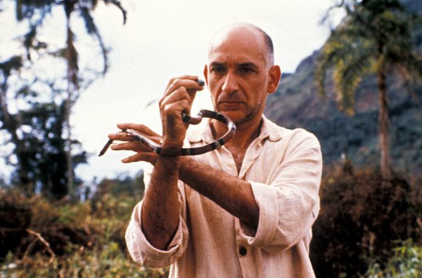 Fünfte Affe, Der / Ben Kingsley / 5th Monkey, The