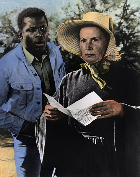 Lilien auf dem Felde