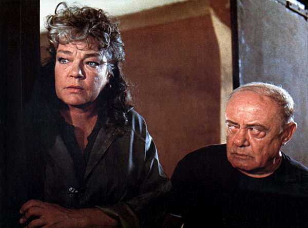 Das Fleisch der Orchidee