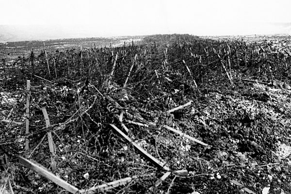 Battle of Arras,1917