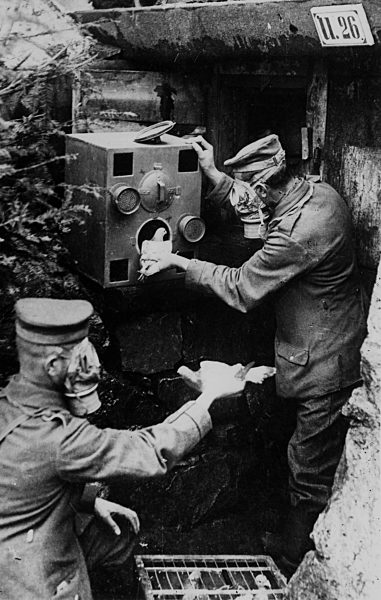 WW1, Erster Weltkrieg:Carrier pigeons