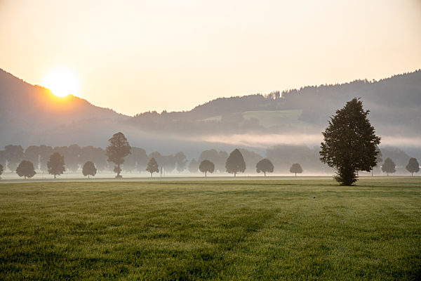 Morgennebel in Bayern