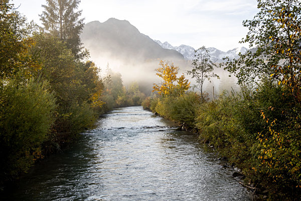 Herbstnebel im Allgäu
