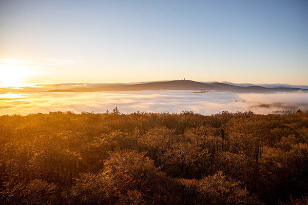 Hochnebel im Taunus