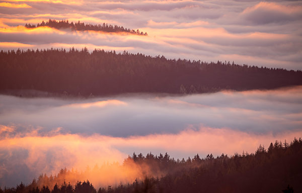 Sonnenuntergang über dem Nebel