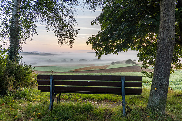 Morgennebel im Taunus