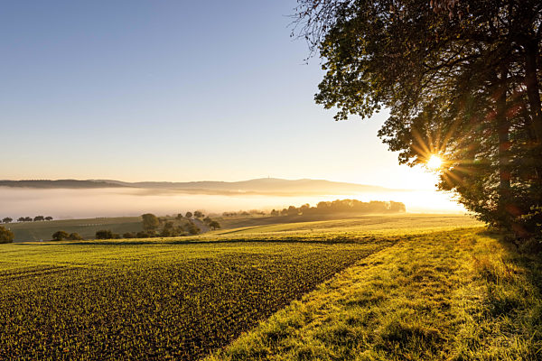 Herbstnebel im Taunus