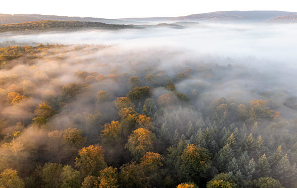 Herbstnebel im Taunus
