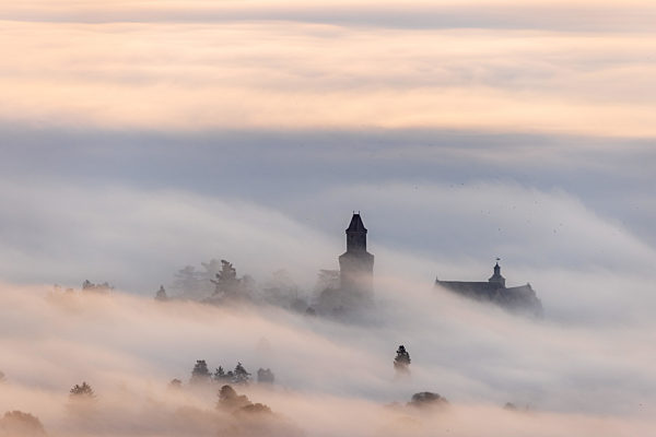 Burg Kronberg im Nebel