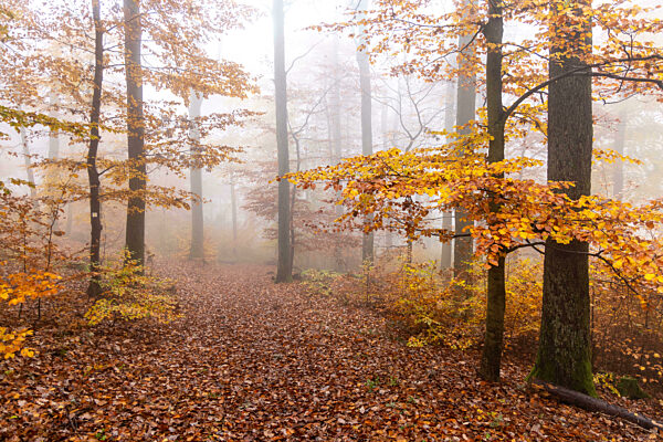 Trübes Herbstwetter