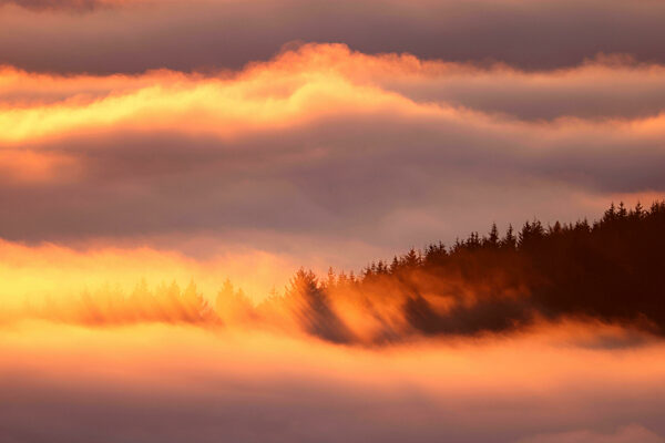 Hochnebel im Taunus