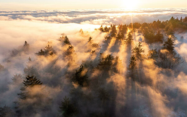 Sonnenaufgang über dem Hochnebel
