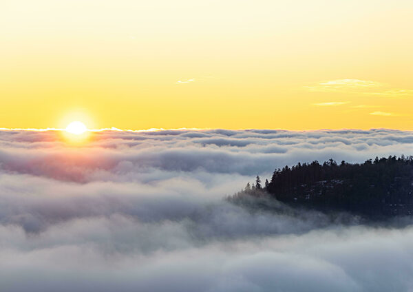 Hochnebel im Taunus